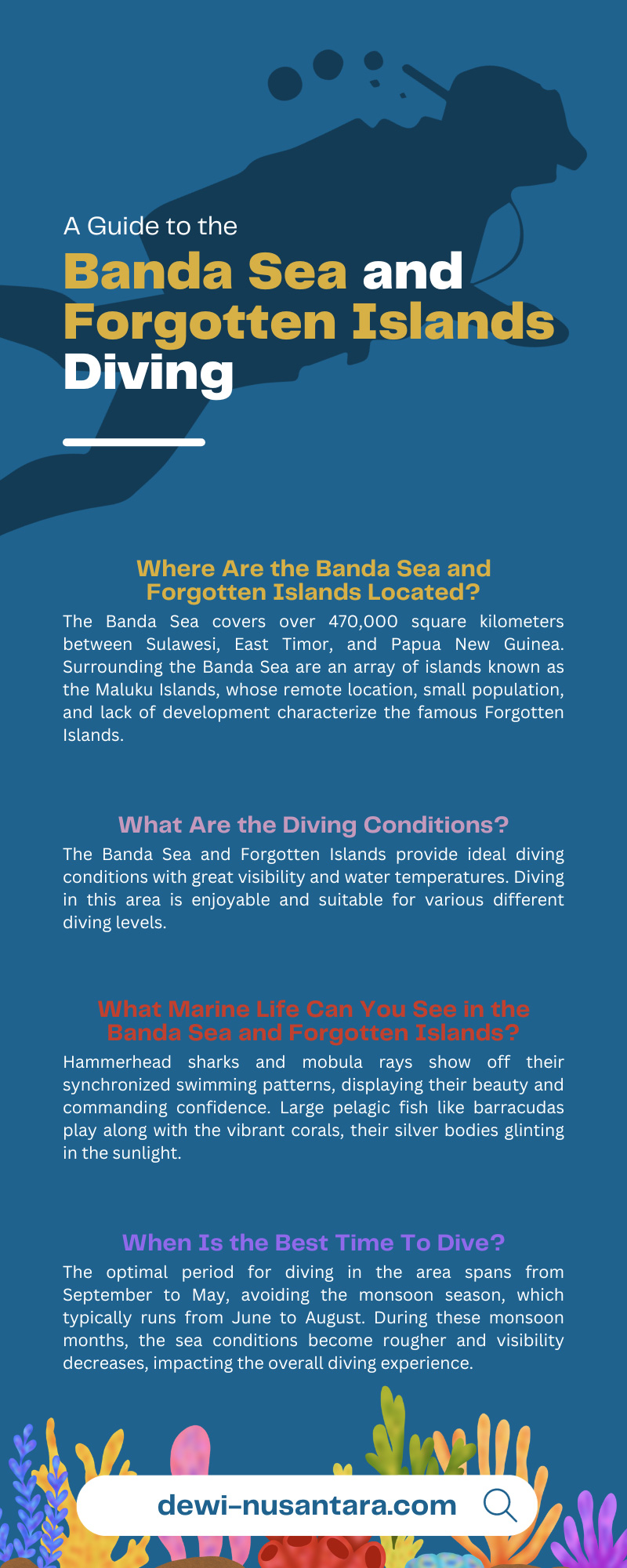 A Guide to the Banda Sea and Forgotten Islands Diving 