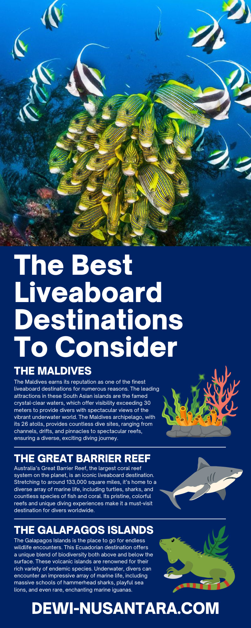 The Top 10 Best Liveaboard Destinations To Consider 