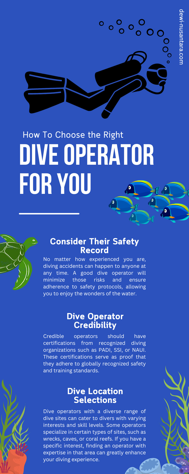 How To Choose the Right Dive Operator for You