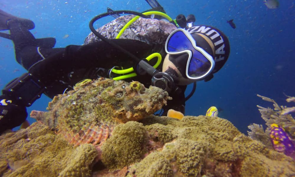 Diving Safety Tips Every Beginner Should Know