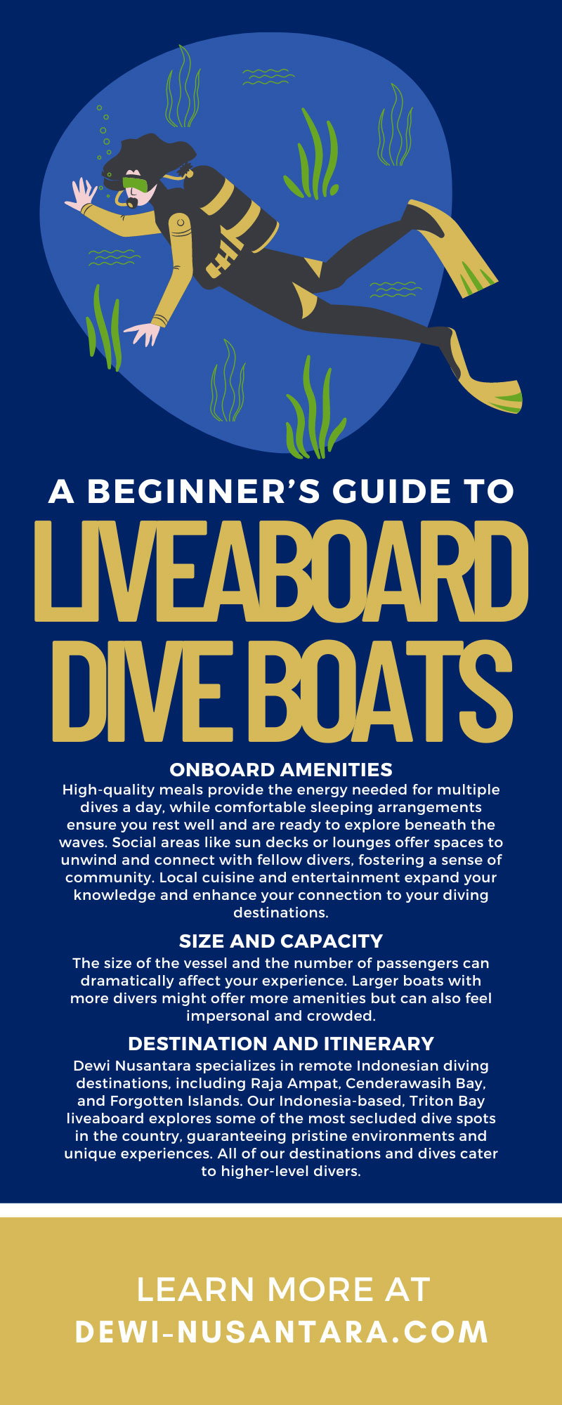 A Beginner’s Guide to Liveaboard Dive Boats 