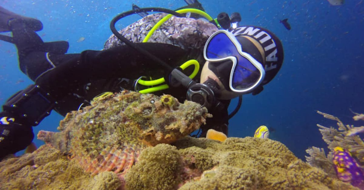 How To Build a Budget for Your Dive Trip