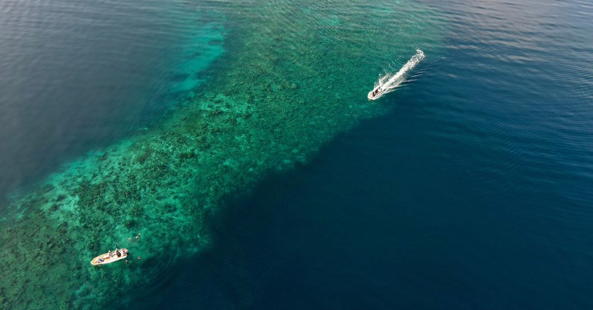 Everything You Need To Know About Muck Diving in Indonesia