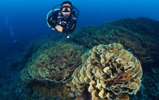 The Difference Between a Master Scuba Diver & a Divemaster