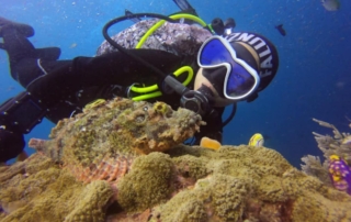 Diving Safety Tips Every Beginner Should Know