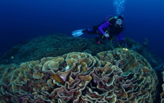 A Guide to Assessing Weather Conditions for Diving